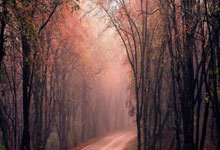 WTT冠军赛》5局扳倒南韩世锦赛铜牌安宰贤 高承睿闯进男单16强.