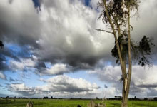 英超第24輪熱刺2-0西漢姆聯 孫凱再度連線!熱刺輕取對手重返前四!.