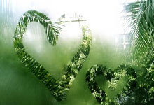 飞亚体育:英超第26輪萊斯特城1-3阿森納 威廉助攻佩佩造點+破門.